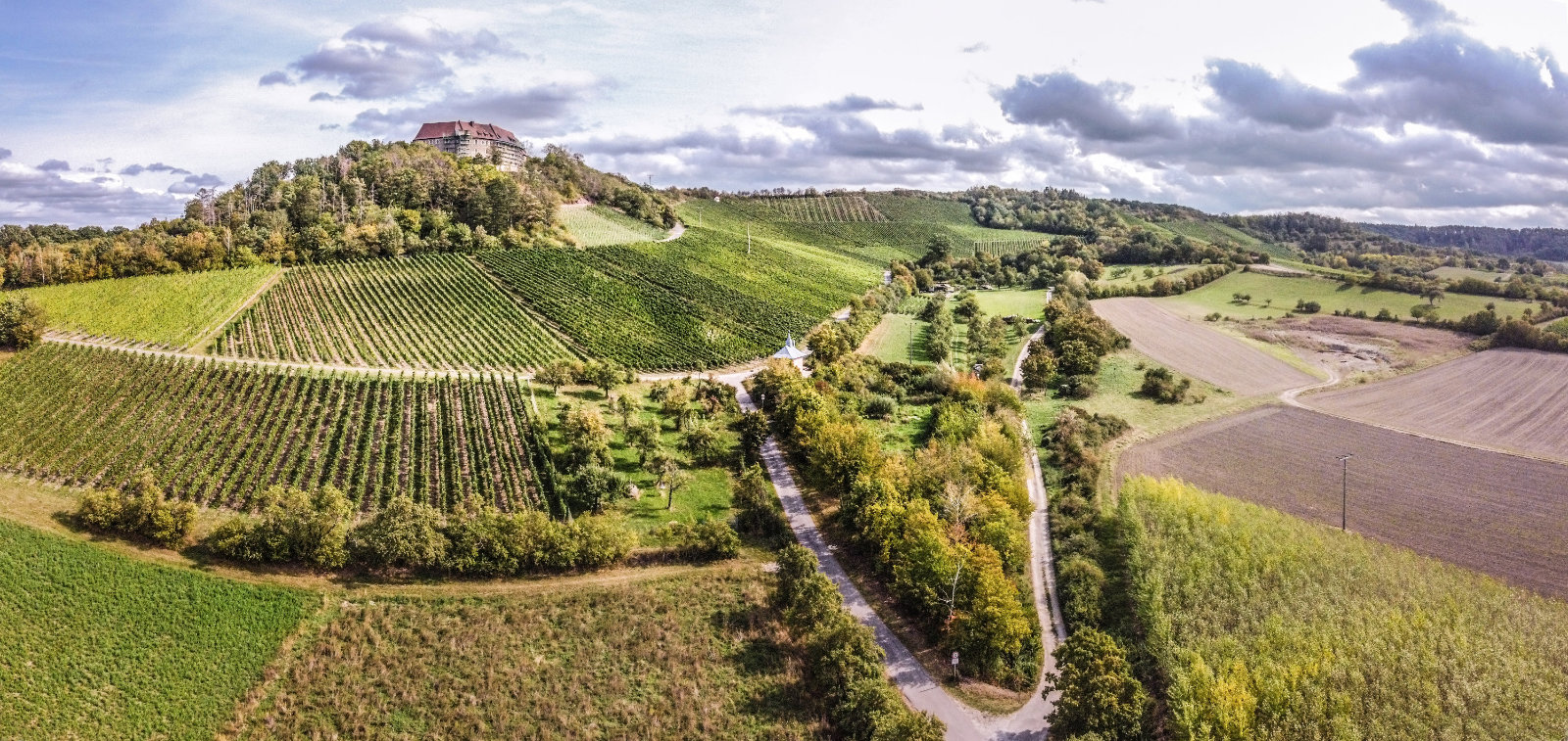 Ipsheimer Weinberge